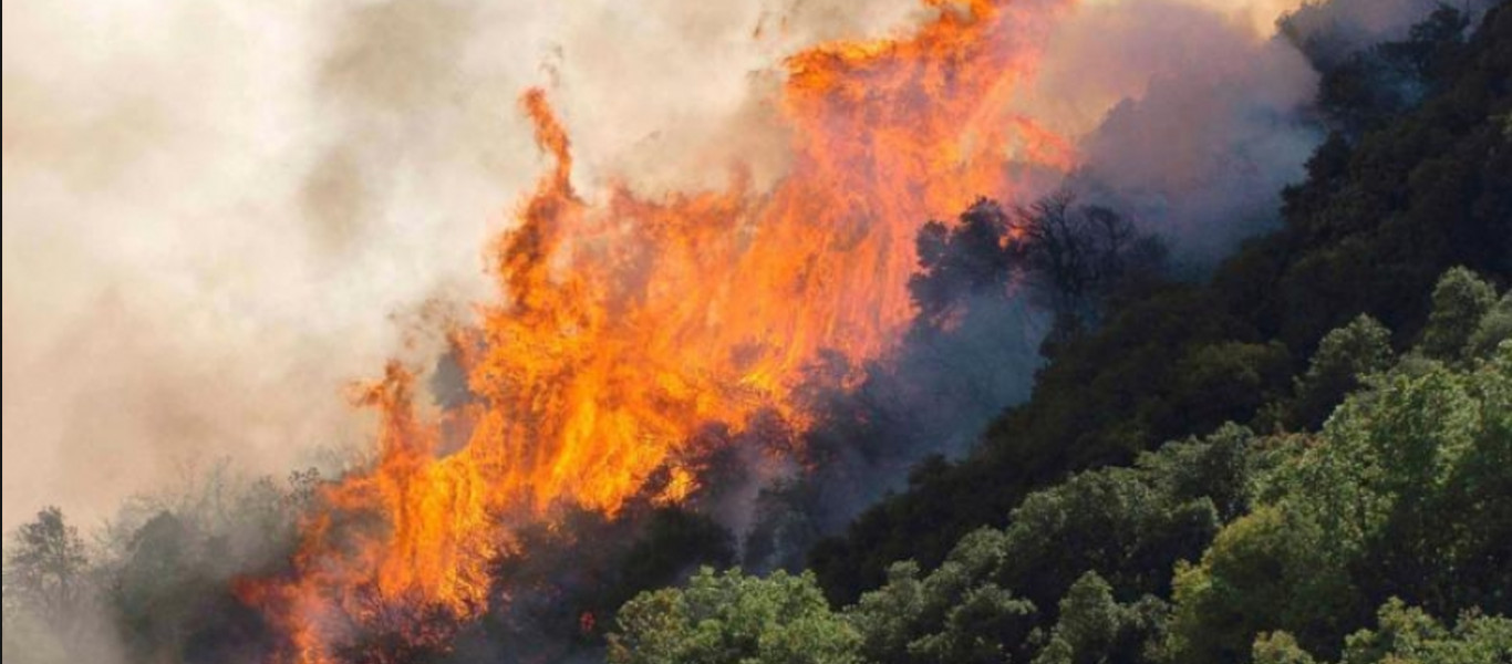 Σε εξέλιξη η φωτιά στην Άνω Μέλπεια Μεσσηνίας